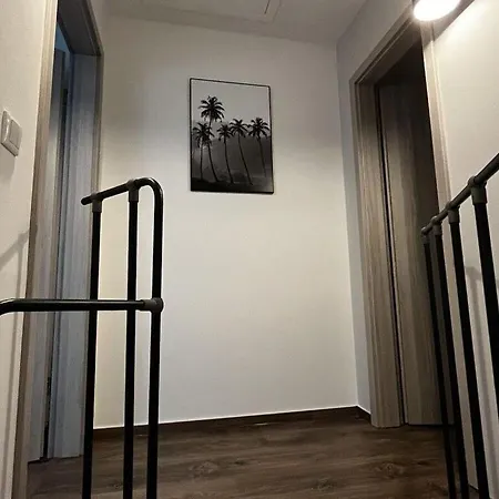 Janeviz - 34-1312 - Bei Kuehlungsborn