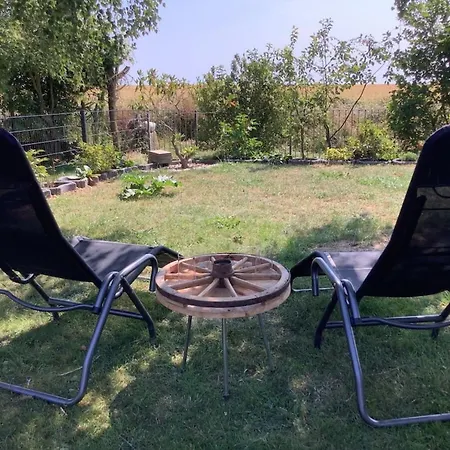 Janeviz - 34-1312 - Bei Kuehlungsborn *